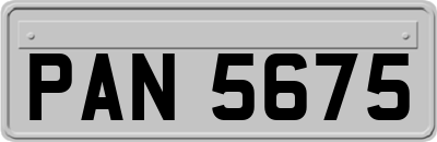 PAN5675