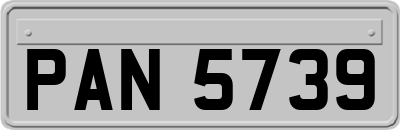 PAN5739