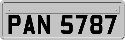 PAN5787