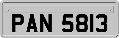 PAN5813