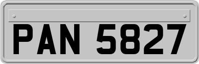 PAN5827
