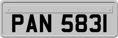 PAN5831