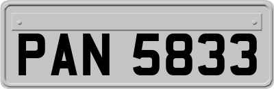 PAN5833