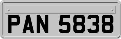 PAN5838