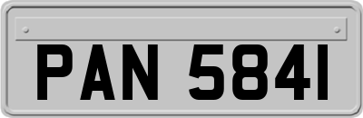 PAN5841