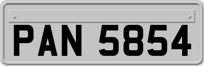 PAN5854