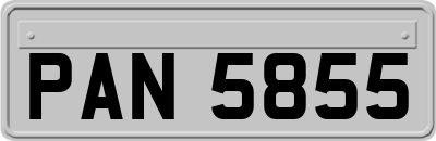 PAN5855