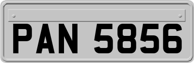 PAN5856