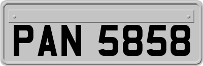 PAN5858