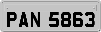 PAN5863