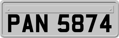 PAN5874