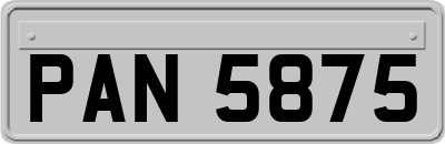 PAN5875