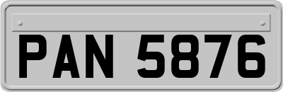 PAN5876