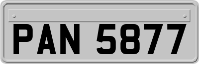 PAN5877