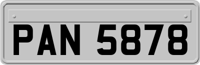 PAN5878