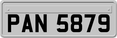 PAN5879
