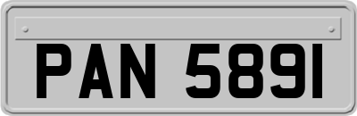 PAN5891