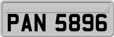 PAN5896