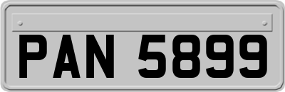 PAN5899