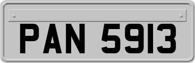 PAN5913