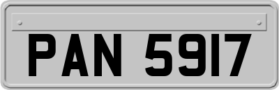 PAN5917