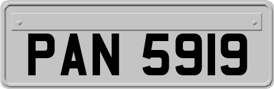 PAN5919