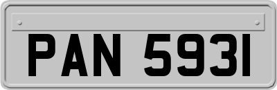 PAN5931