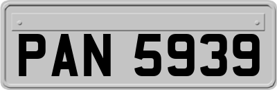 PAN5939