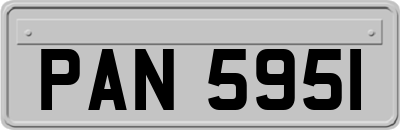 PAN5951