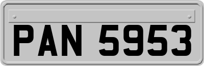 PAN5953