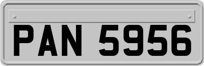 PAN5956