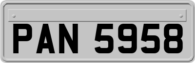 PAN5958