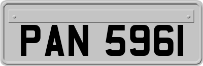 PAN5961