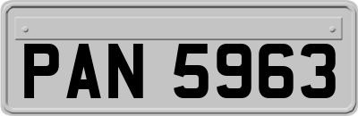 PAN5963