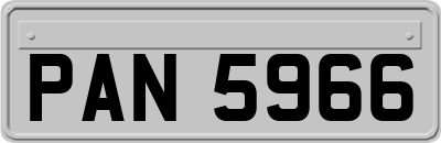PAN5966
