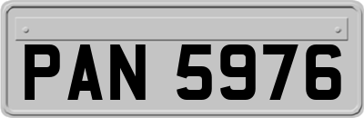 PAN5976