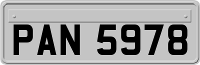 PAN5978
