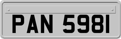 PAN5981