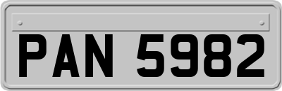 PAN5982