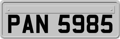 PAN5985