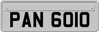 PAN6010