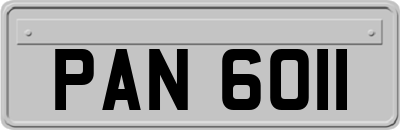 PAN6011