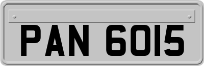 PAN6015