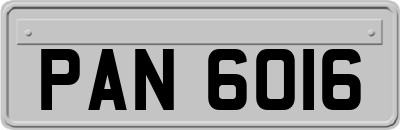 PAN6016