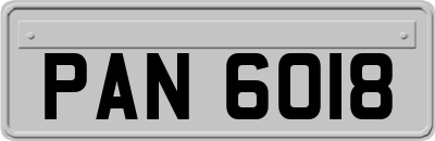 PAN6018