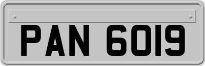 PAN6019