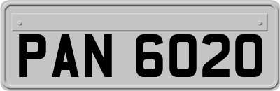 PAN6020