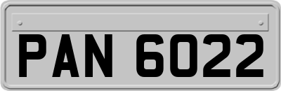 PAN6022
