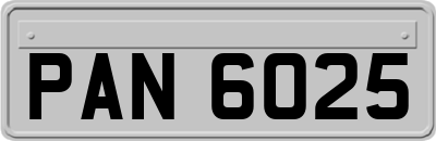 PAN6025