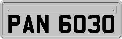 PAN6030